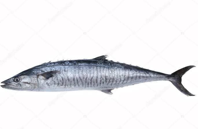 Premium Seer Fish / Vanjaram - Steaks