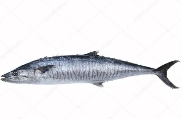 King fish/ Konam/ Vanjiram/Seer fish-1100rs/Kg