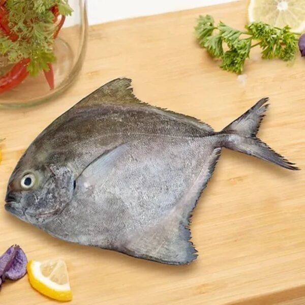 Black Pomfret -750rs /Kg