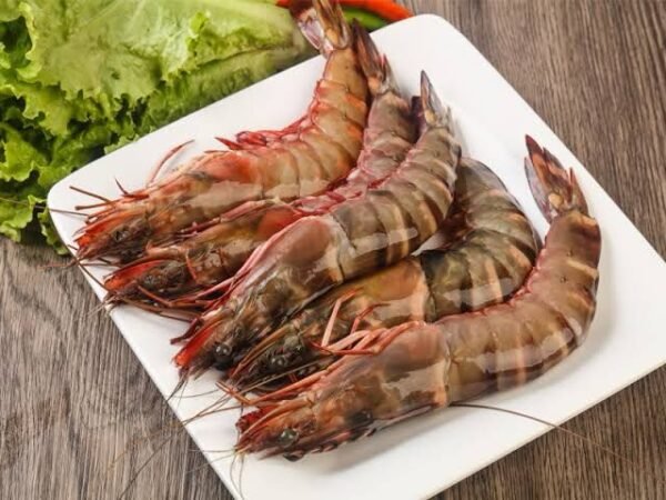 Sea Tiger Prawns -1600/ Kg
