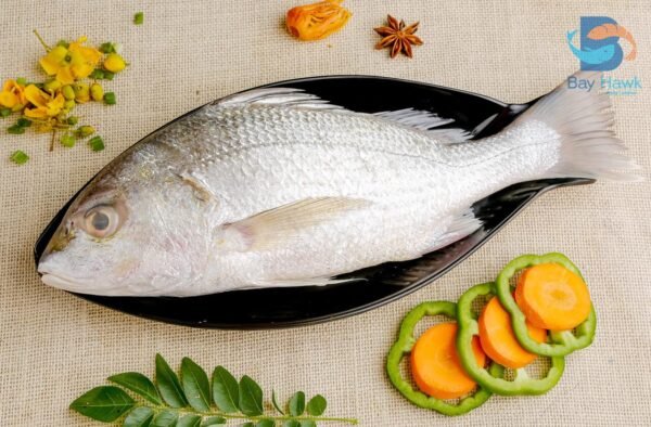 White Snapper -600rs/ Kg